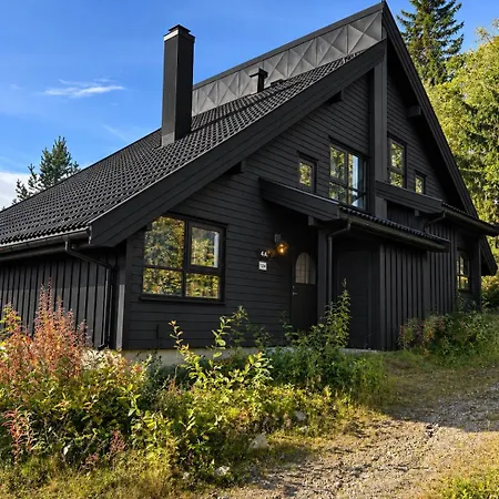 Сasa de vacaciones Alpin Med Ut Og Badstue Trysil